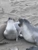 IMG_6095.jpeg