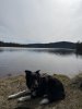IMG_9580.jpeg