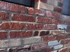 IMG_6177.jpeg