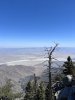 IMG_6250.jpeg