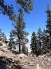 IMG_6253.jpeg