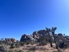 IMG_6294.jpeg