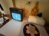 IMG_2548.jpeg