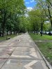 IMG_2627.jpeg