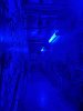 IMG_6650.jpeg