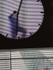 IMG_0603.jpeg