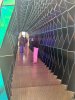 IMG_6834.jpeg