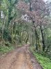 IMG_6876.jpeg