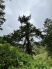 IMG_6875.jpeg