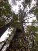 IMG_6870.jpeg