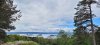20260510_122734.jpg