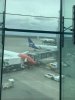 IMG_0040.jpeg