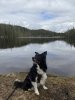 IMG_9881.jpeg