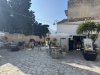 IMG_5619.jpeg