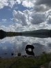 IMG_0072.jpeg