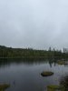 IMG_0193.jpeg