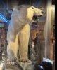 IMG_0499.jpeg