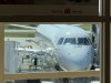 IMG_4118.jpeg