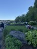 IMG_6976.jpeg