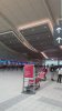 IMG_7008.jpeg