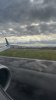 IMG_7026.jpeg