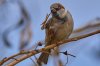 DSC01740 1.jpg