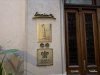 IMG_4313.jpeg