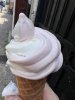 IMG_3114.jpeg