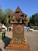 IMG_3231.jpeg
