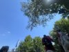 IMG_3325.jpeg