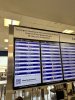 IMG_7221.jpeg