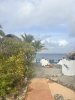 IMG_7253.jpeg