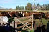 DSC03257.jpg