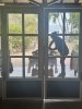 IMG_7254.jpeg