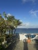 IMG_7305.jpeg