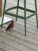 IMG_7447.jpeg