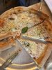 IMG_7501.jpeg