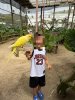 IMG_7516.jpeg