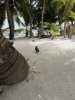 IMG_7540.jpeg