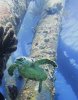 IMG_7371.jpeg
