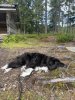 IMG_0632.jpeg