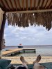 IMG_7383.jpeg
