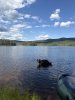 IMG_0636.jpeg