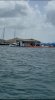 IMG_7733.jpeg
