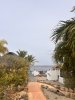 IMG_7439.jpeg