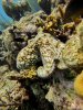 IMG_7483.jpeg