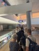 IMG_0339.jpeg