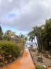 IMG_7770.jpeg