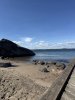 IMG_2330.jpeg