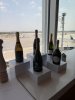 IMG_0869.jpeg